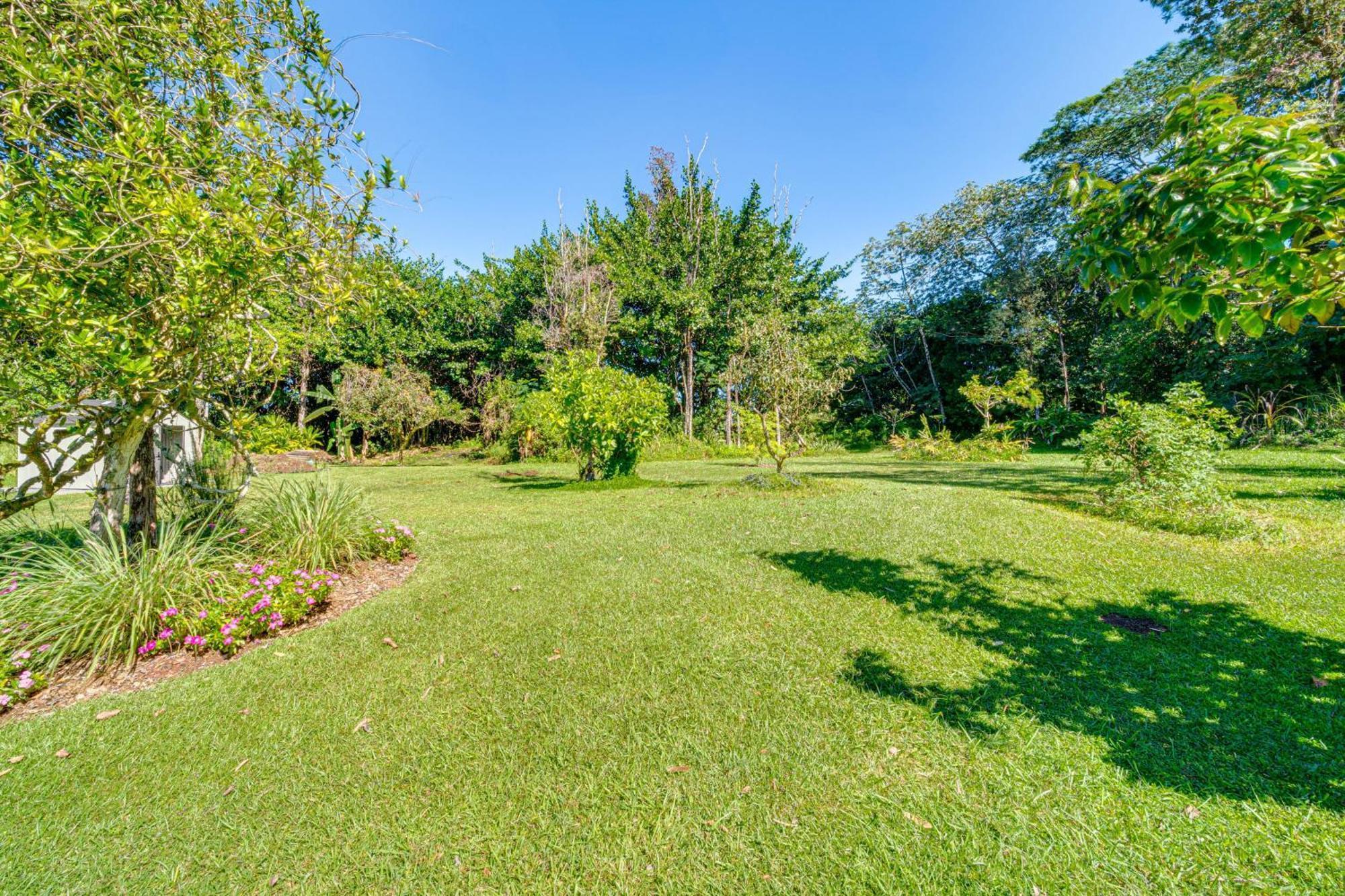 Keaau Apartment On Beautiful Acre With Pool And Deck! Екстер'єр фото